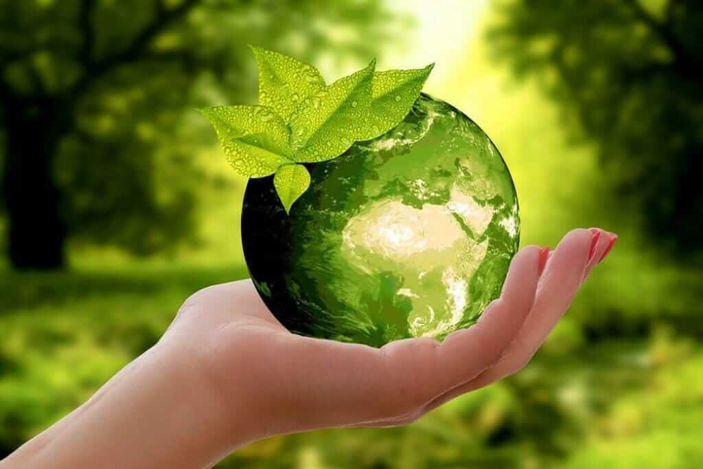 Усилитель Нова Зеленый Мир