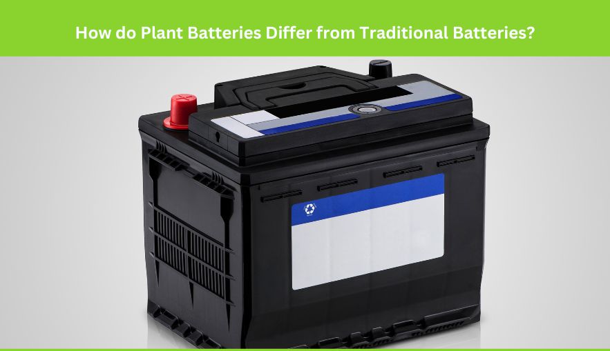 Amp Nova’s Expertise in Plant Battery Development
